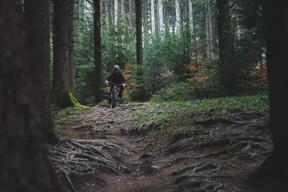 Bike Biking Bicicletta Paesaggio Foresta Generico Ciclismo Ciclisti Bike Biking Bicicletta Paesaggio Foresta Generico Ciclismo Ciclisti<br />Vietata la riproduzione, per maggiori info contattare la direzione a info@trekkinglife.it