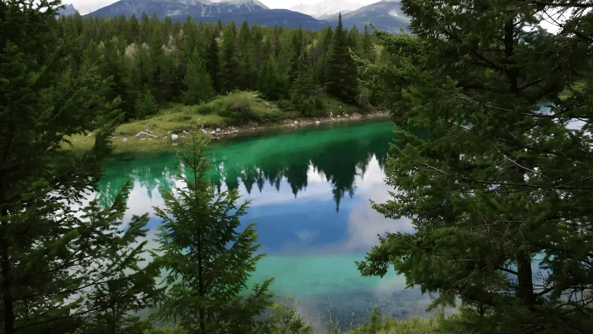 Hero Slide Intro Trekking Life Fiume Natura Acqua Cristallina Trekking